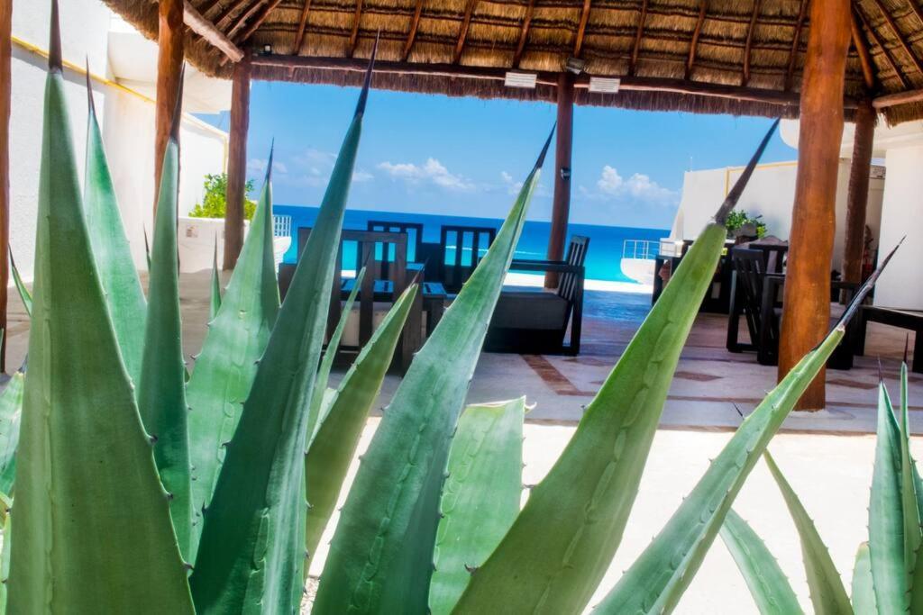 Ocean Front Villa Marlin, Best Location In Hotel Zone #109 Канкун Екстер'єр фото