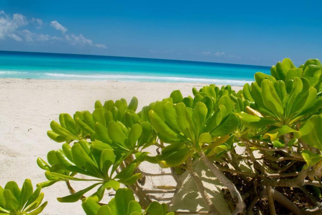 Ocean Front Villa Marlin, Best Location In Hotel Zone #109 Канкун Екстер'єр фото